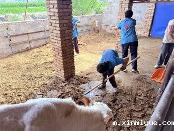 必威登录入口平台官网青少年心灵成长家园——磨炼夏令营纪实