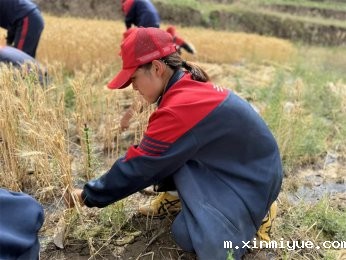 山村夏令营：在劳动中感悟成长，珍惜每一粒粮食