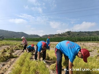 ‌暑期磨炼山村夏令营：叛逆少年的心灵救赎之旅